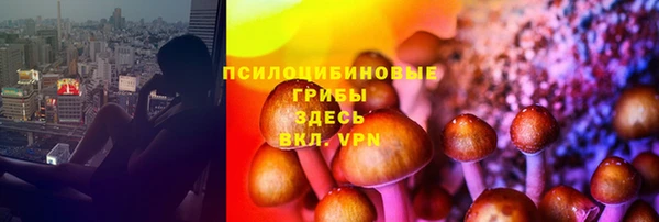 молекула духа Балабаново