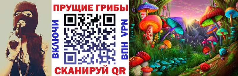 Псилоцибиновые грибы GOLDEN TEACHER Гдов
