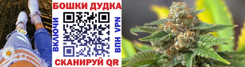 Конопля SATIVA & INDICA  Гдов 